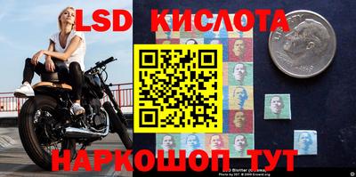 ALPHA PVP Краснознаменск