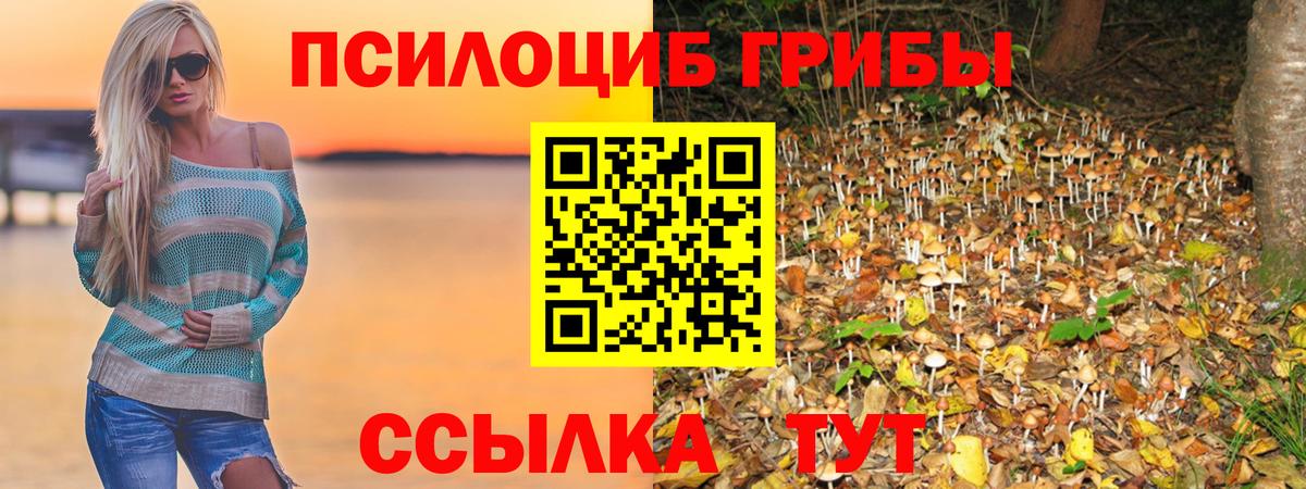 Псилоцибиновые грибы MAGIC MUSHROOMS  Вход с VPN  Псилоцибиновые грибы Cubensis  Ирбит 